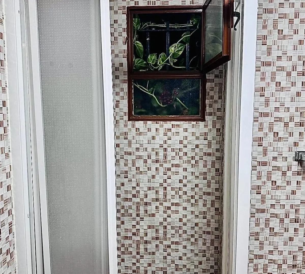 Apartamentos Ruz Cordoba