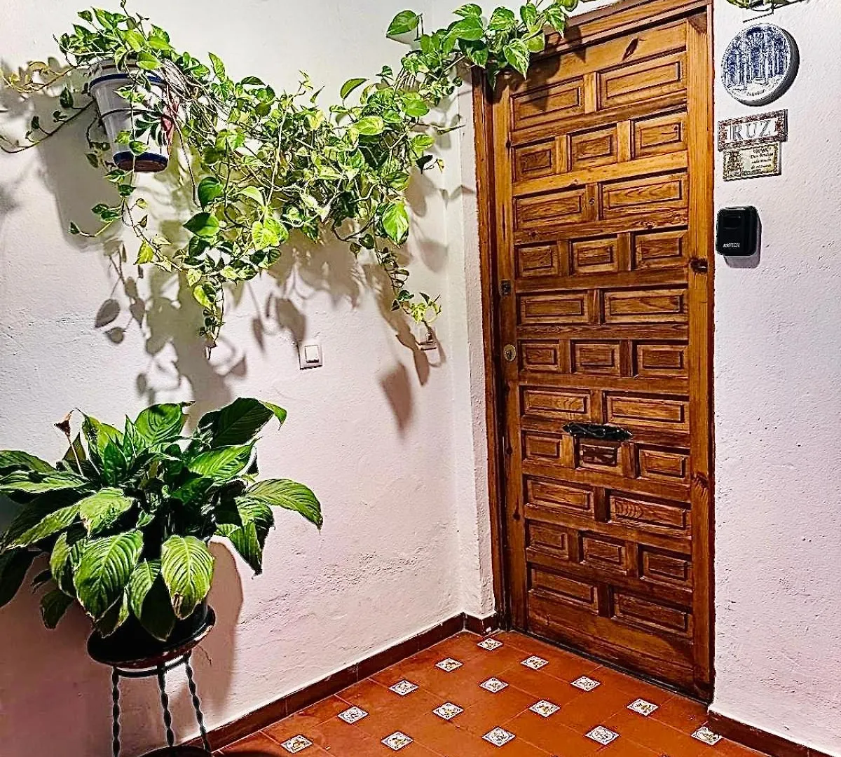 Apartamentos Ruz Cordoue 0*,  Espagne